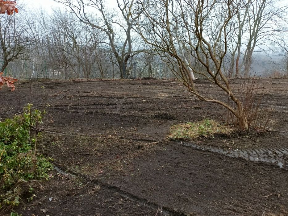 Czyszczenie działek wycinka drzew niwelacje rekultywacja  mulczer