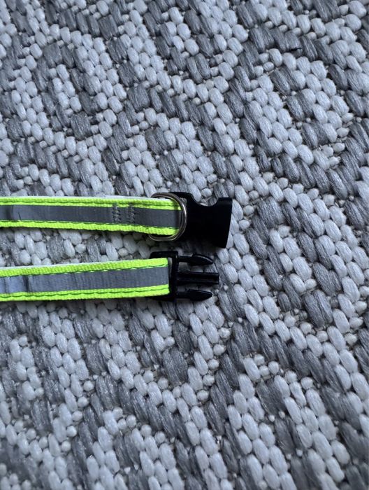 Ошийник люмінесцентний для котів  та маленьких собак