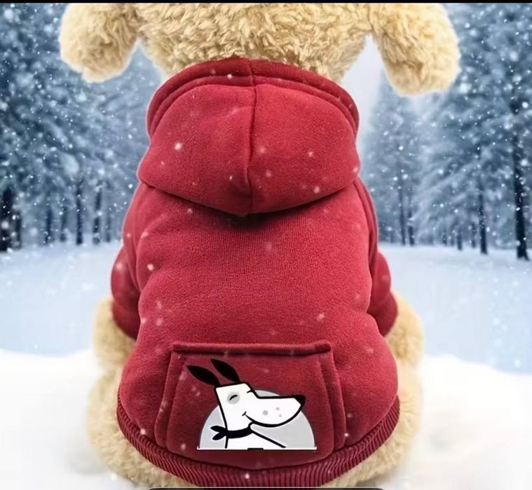 Одежда для собак