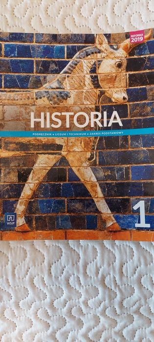 Historia klasa 1 liceum I technikum