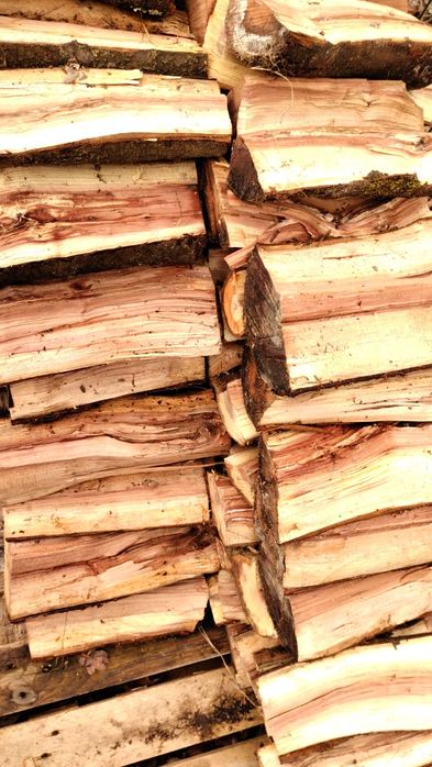 Drewno do wędzenia śliwa