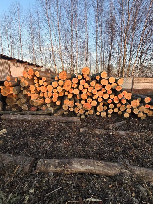 DĄB, BUK, GRAB, BRZOZA - piękne drewno opałowe kominkowe, 2,5m OKAZJA!