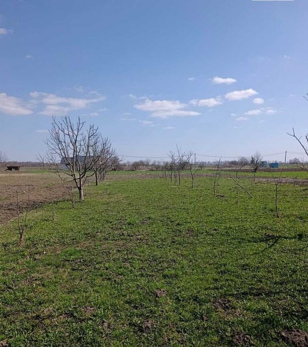 Продам 2-поверховий будинок у с. Петрик 4374