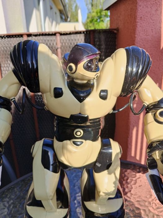 Robot interaktywny