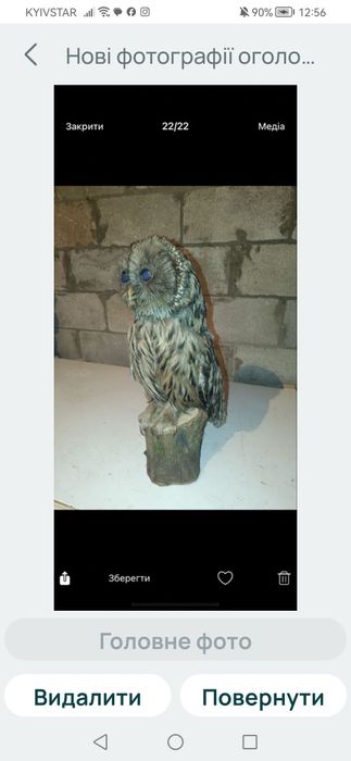 Фазани і сови гарна вичінка