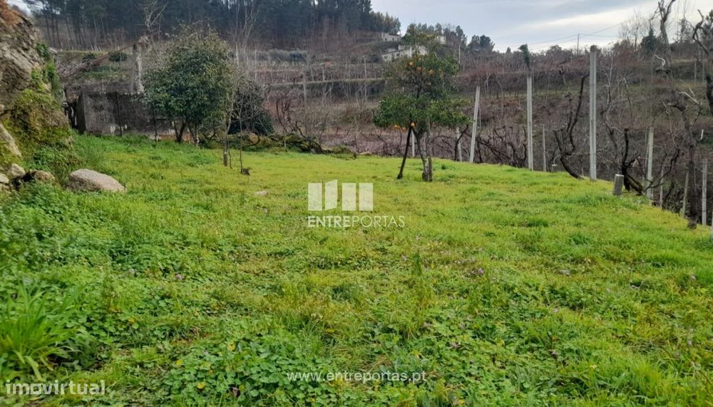 Land for Sale, Gouveia (São Simão), Amarante
