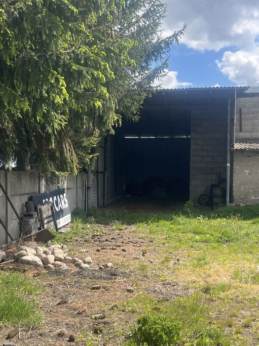 Wynajmę Budynki gospodarcze Grodkowo Włóki