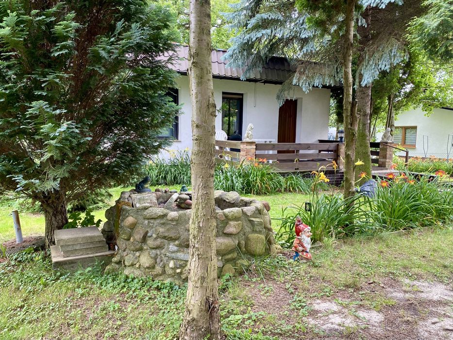 Całoroczna działka ROD z ocieplonym domem. - Widok 2