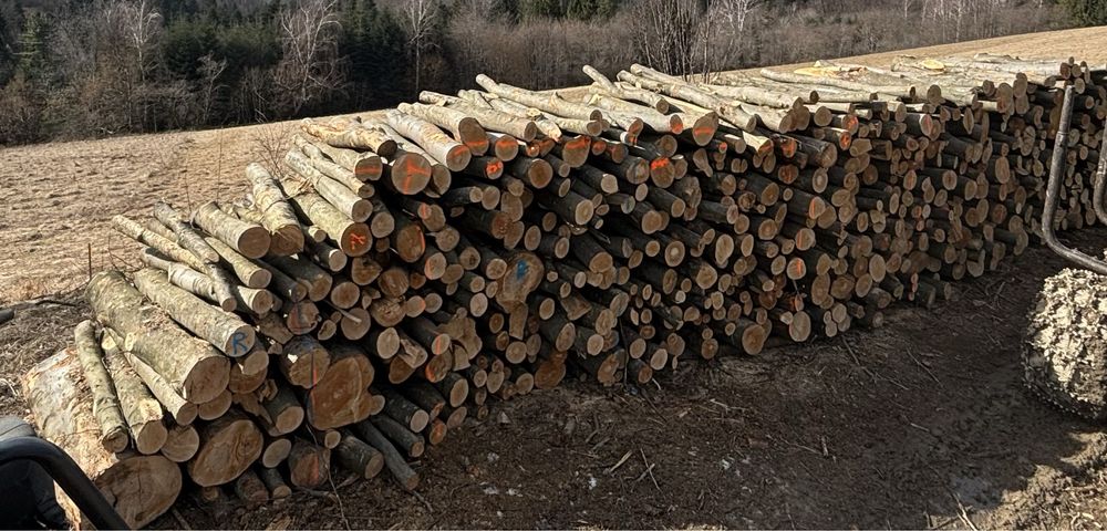 Drewno opałowe buk metry