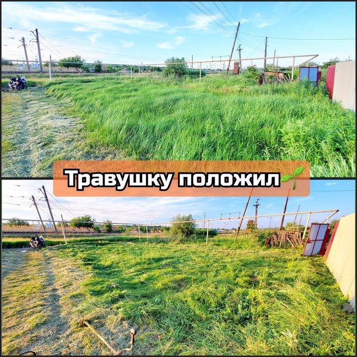 ПОКОС ТРАВЫ. Обрезка-Деревья