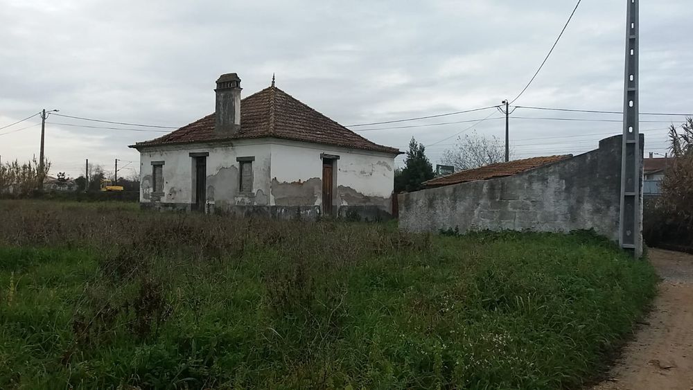 Quintinha / Santo Varão/Coimbra