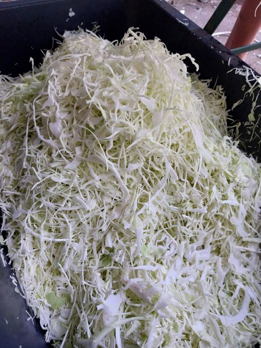 Sprzedam kapustę szatkowaną