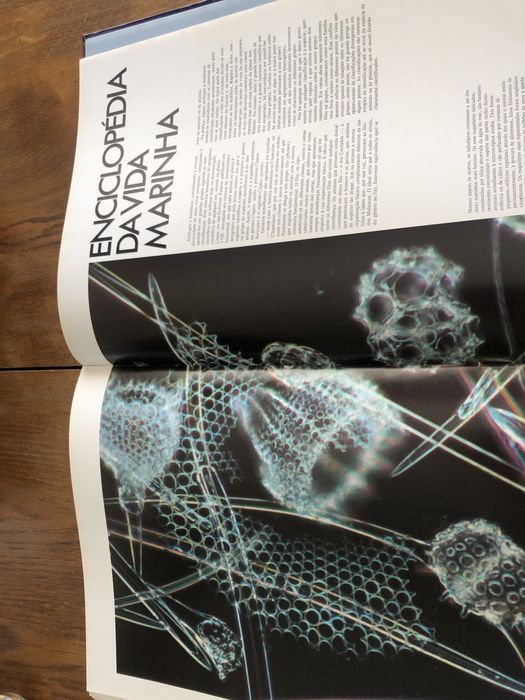 Grandes livros dos oceanos