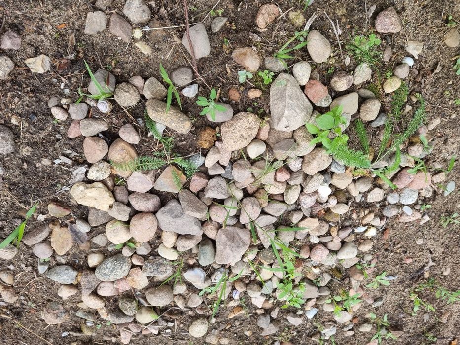 Kamień polny mieszany