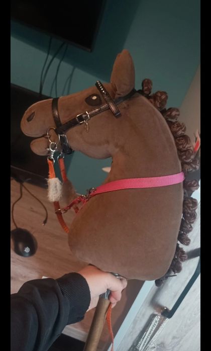 Hobby horse a3 koncna patyku