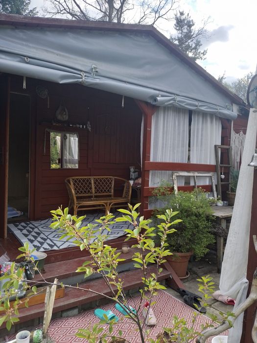 Działka ROD starachowice
