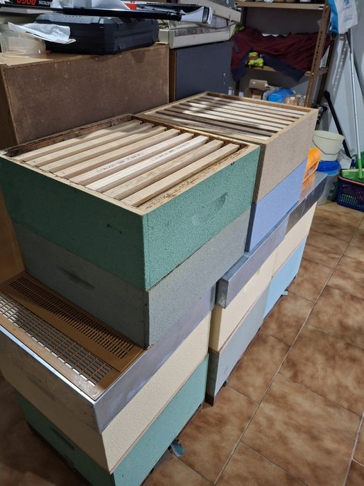 Colmeias para abelhas novas