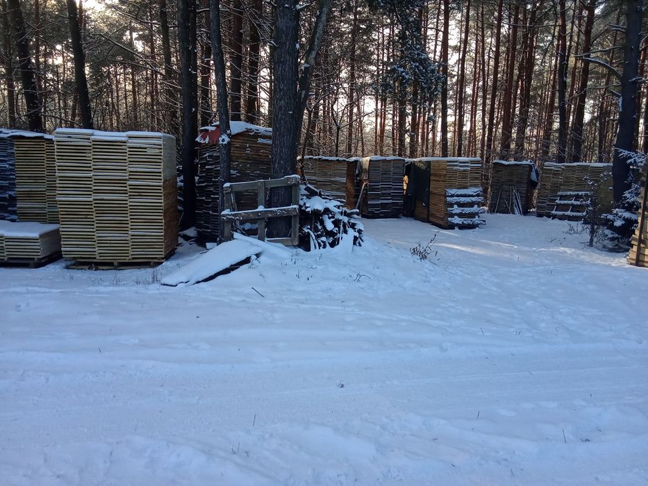 Fryzy dębowe parkietowe