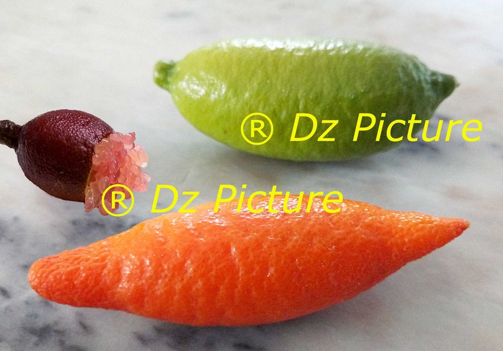 Fruta Limão Caviar Zero Pesticidas - Preço Direto Produtor