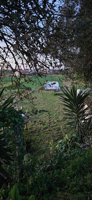 Terreno rústico em salreu, Estarreja