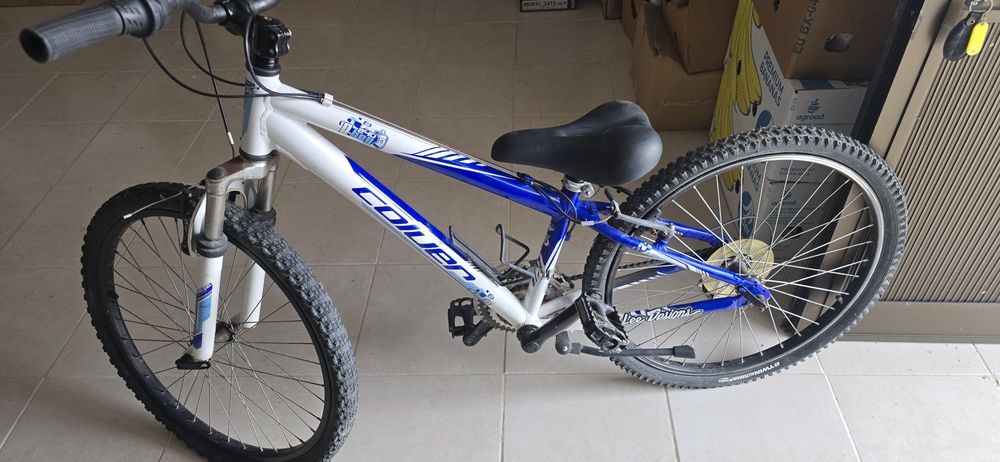 Bicicleta roda 24