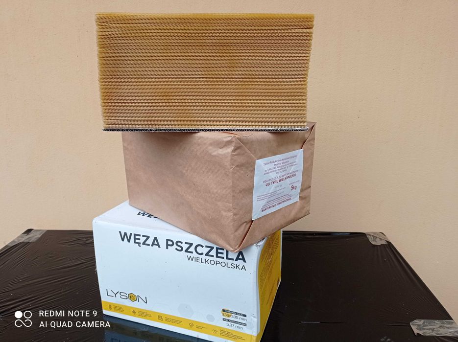 Węza wielkopolska