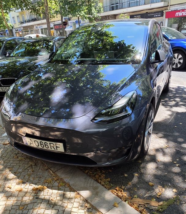 Tesla Y nacional