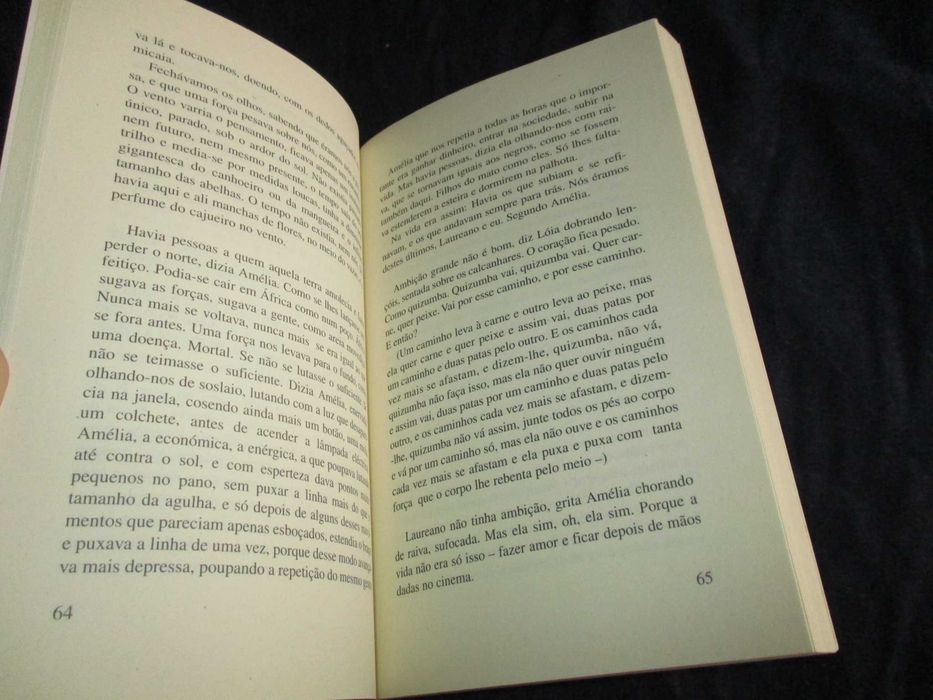 Livro A Árvore das Palavras Teolinda Gersão 1ª edição