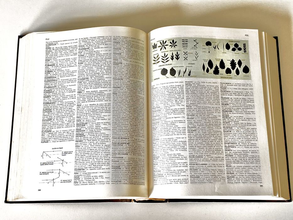 Léxico Comum, dos dicionários enciclopédicos Koogan Larousse Seleções