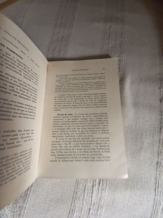 Orchards: Pruning Fruit Trees and Fruit Thinning by Vieira Natividade64285477063682124