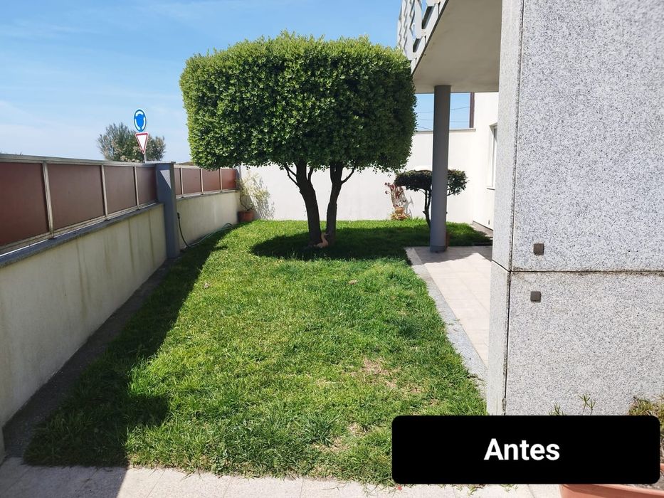 Jardinagem e Manutenção de Jardim