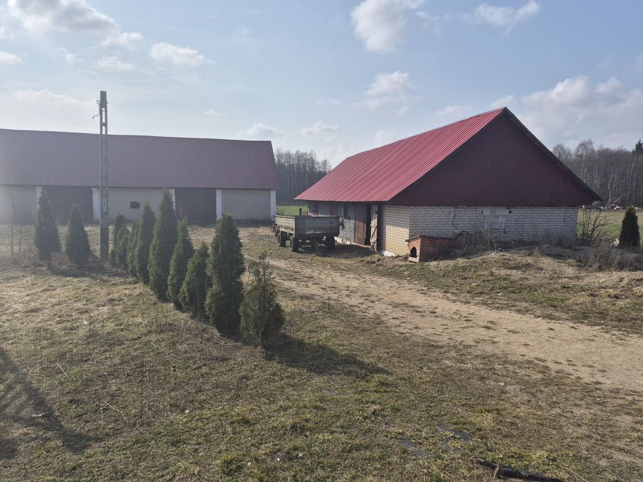 Dom – Zgierszczańskie - Widok 5