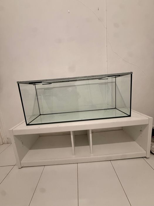 Aquário Terrario