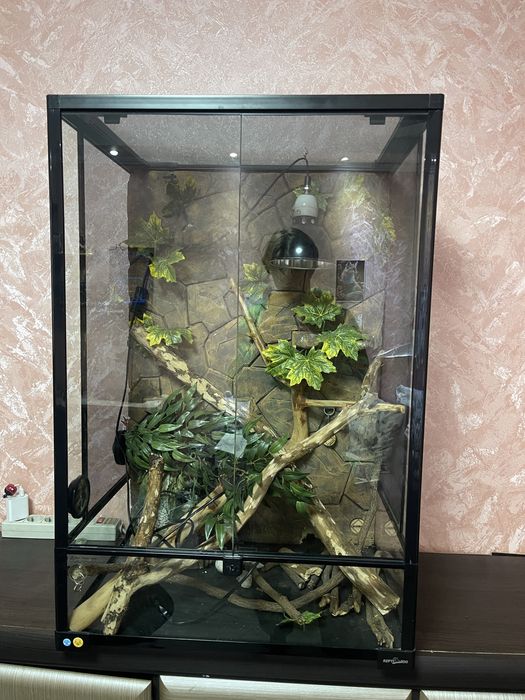 Тераріум Repti Zoo