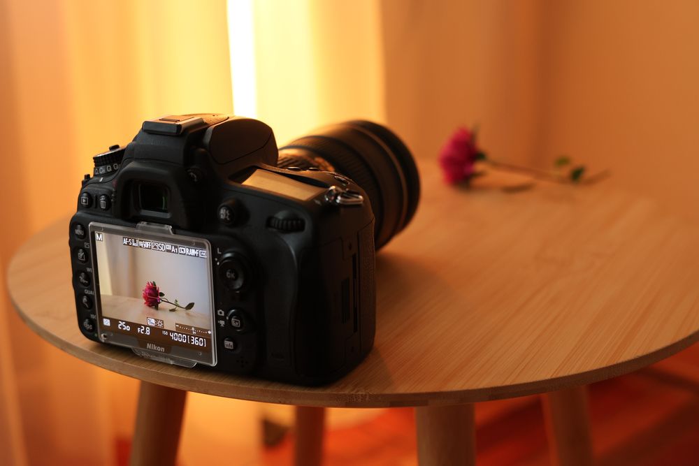 Nikon D610 + 24-70mm f/2.8 + 50mm f/1.8G
