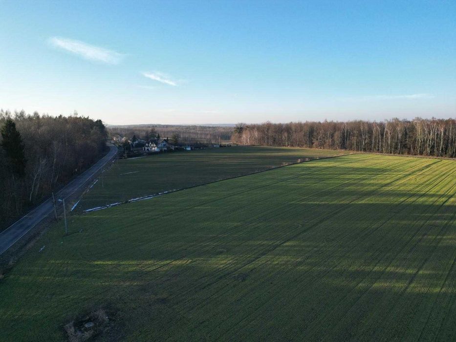 Działka budowlana 29ar, Barbarka, gm. Skała