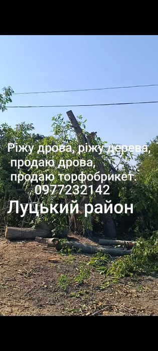 Зрізаю дерева, рубаю дрова професійно