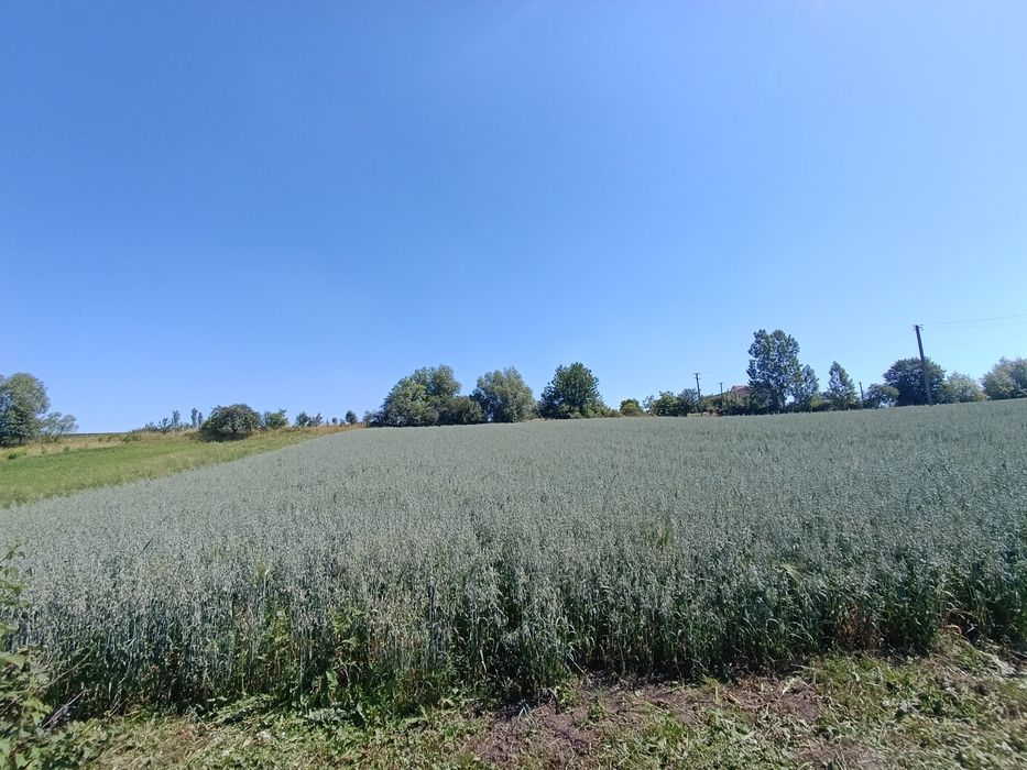Продам Будинок  в  селі Санники