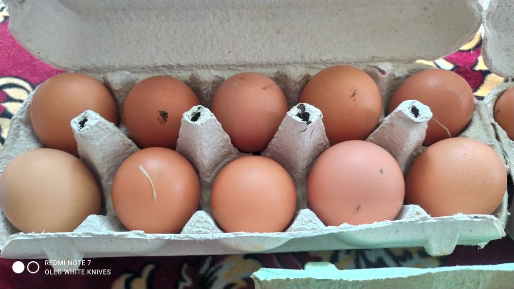 Яйця Домашні, курині !