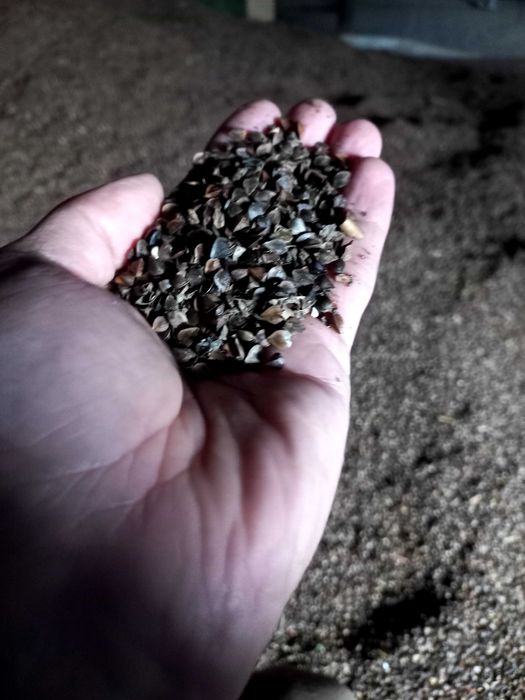 Sprzedam grykę 100 kg 180 zł