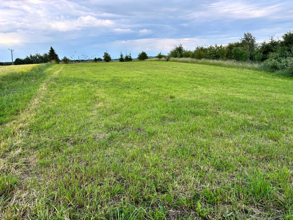 3183 m2 Ładna Słoneczna Działka Budowlana Nieuzbrojona Prawomocne WZ