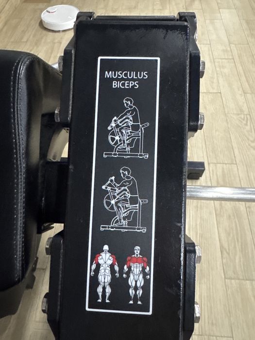 BICEPS CURL MACHINE