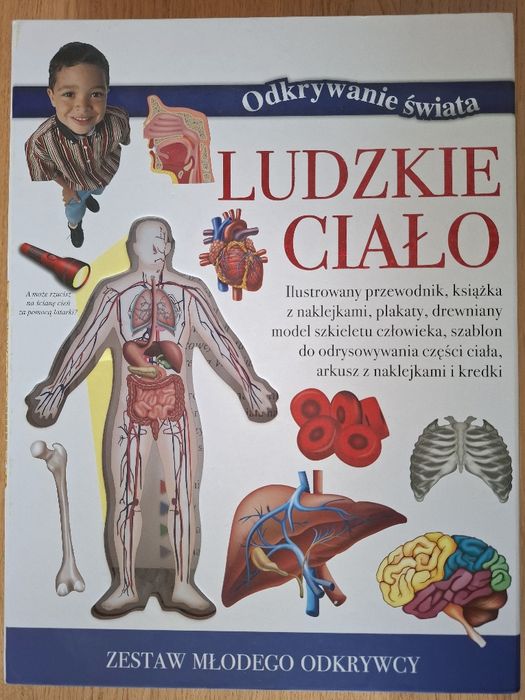 Ludzkie ciało zestaw edukacyjny do nauki i zabawy