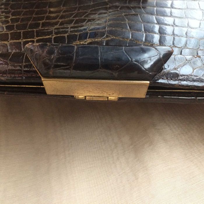 Carteira castanha de crocodilo