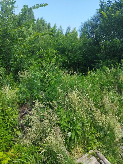 Ірпінь, земельна ділянка під будівництво, 8 соток