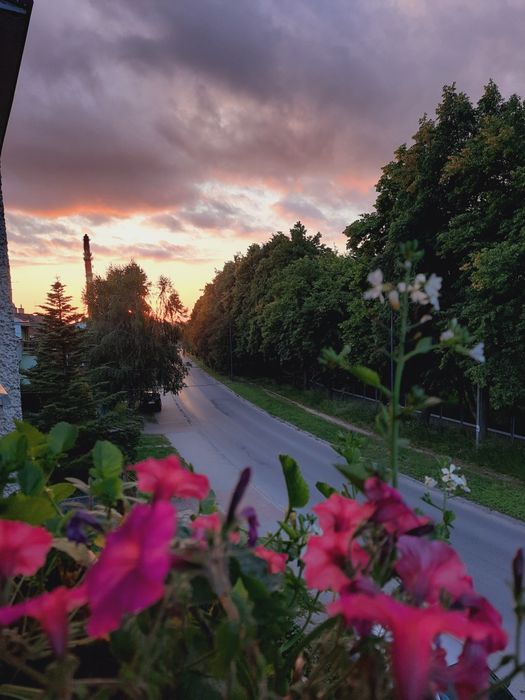 Nocleg Łańcut. Dla turystów i małych grup.