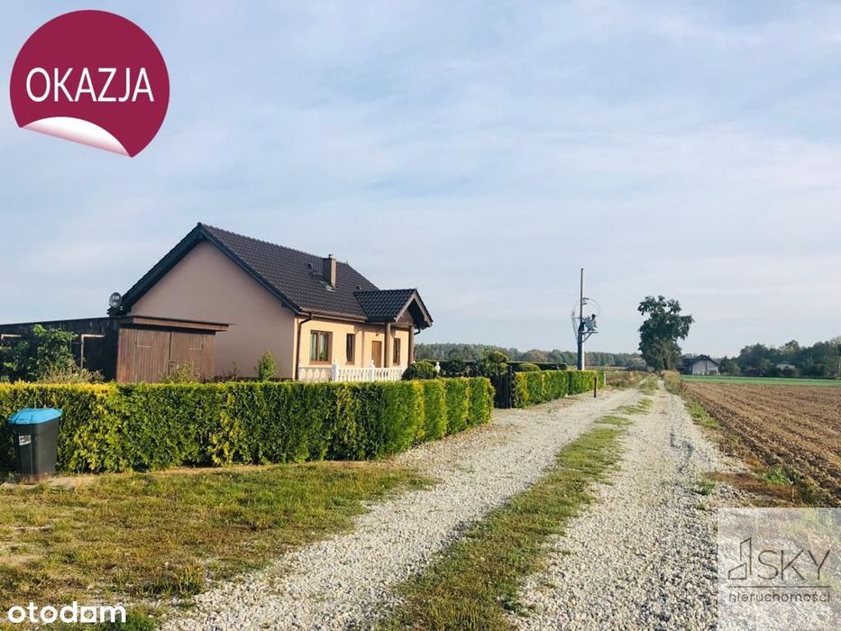 Zdjęcie 8