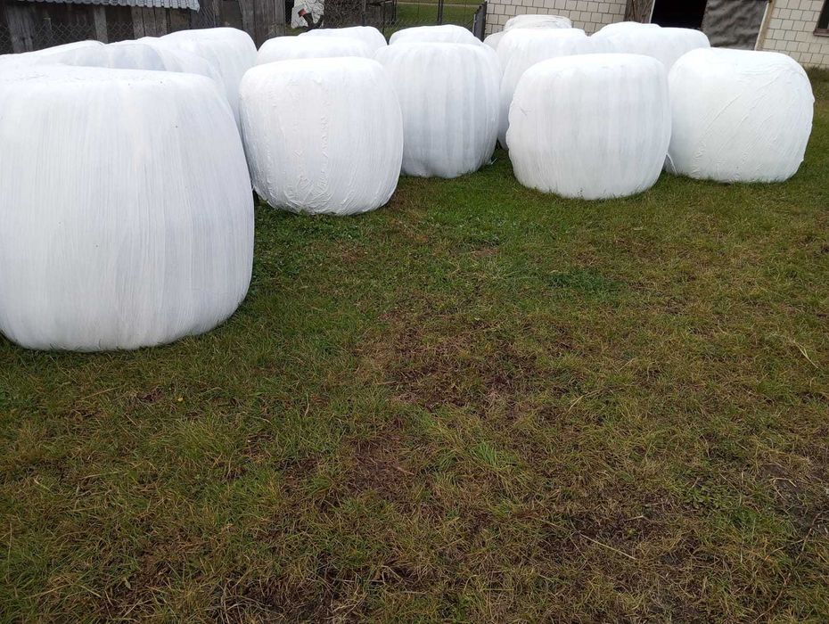 siano/sianokiszonka 2025