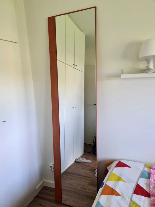 Mirror 195x40. Previously belonged to a wardrobe but is in perfect condition.