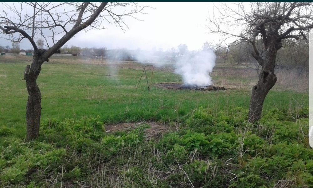 Продам дім /дачу/ в с.Ладинка Чернігівьська обл.,траса Київ-Черніг